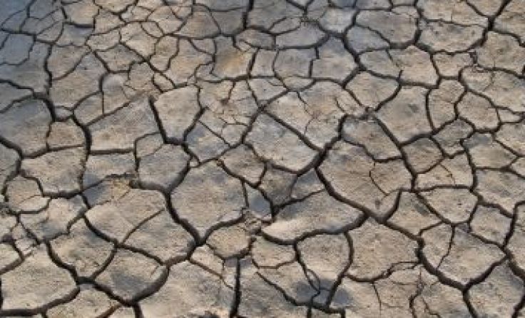 Foto: JohnnyB/pixelio.de