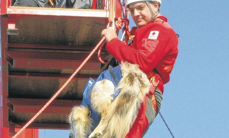 Das Highlight des Tages: Abseilen vom Feuerwehrkran (Foto: ÖRK, Bezirksstelle Perg)