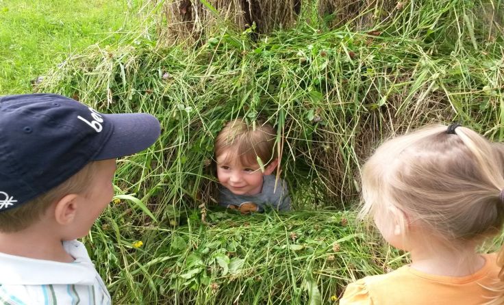 Die Schüler erhalten einen Einblick in das Leben auf einem Bauernhof (Foto: Ablinger)