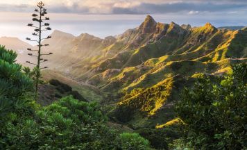 Tragödie: Deutsche Touristin (35) auf Teneriffa tot aufgefunden