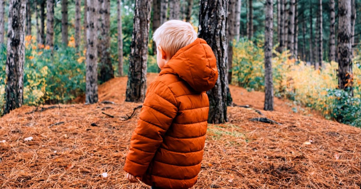 Vermisster Bub (5) überlebt drei Tage im Wald voller Bären