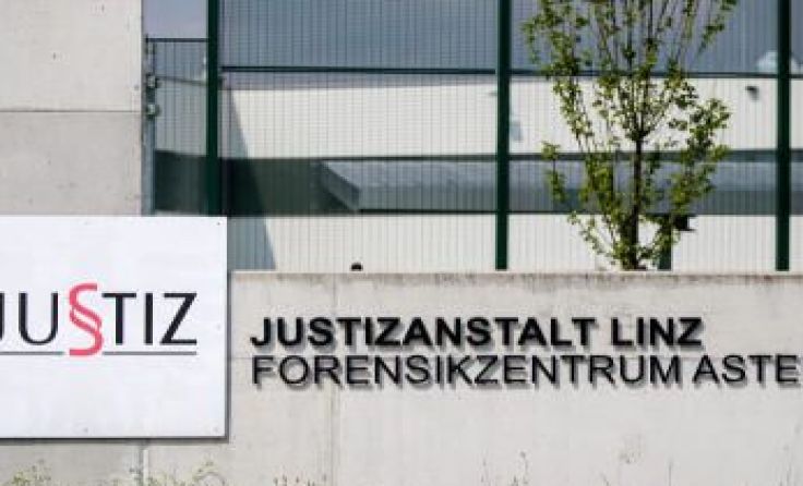 Der Afghane wurde in die Justizanstalt Linz überstellt. Symbolfoto: Weihbold