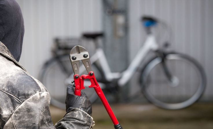 Foto: Rainer Fuhrmann/Shutterstock.com