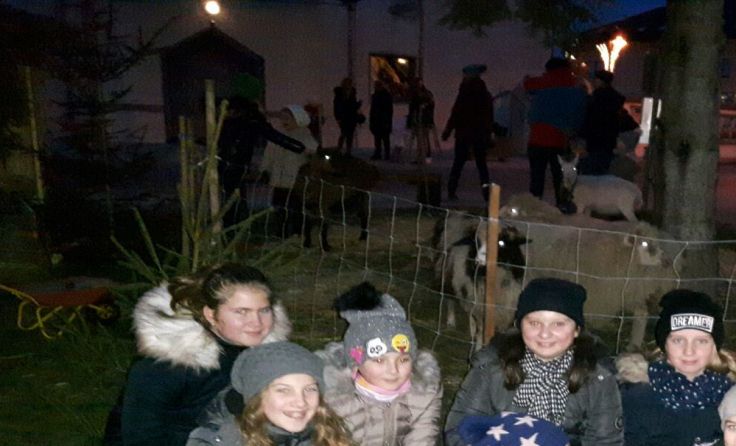 Echte Tiere in der Krippe vor der Kirche in Pucking 