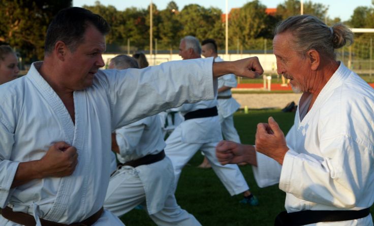Im Kurs wird „Goyu Ryu Karate“ gelehrt. Foto: Karate Steyr
