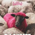 Sommer.Kino.Krenglbach - DJ Ahmet