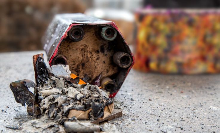 Foto: Robert Lessmann/Shutterstock.com