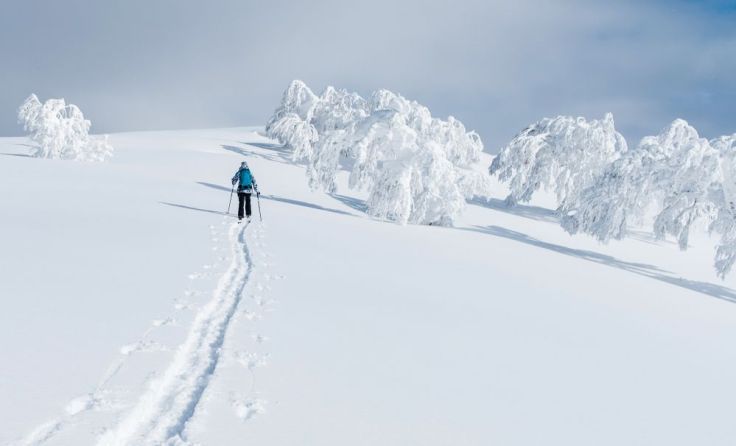 Foto: Flystock/Shutterstock.com