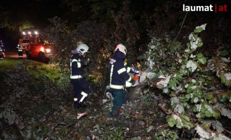 Umgestürzter Baum in Scharten Foto: laumat.at/Matthias Lauber
