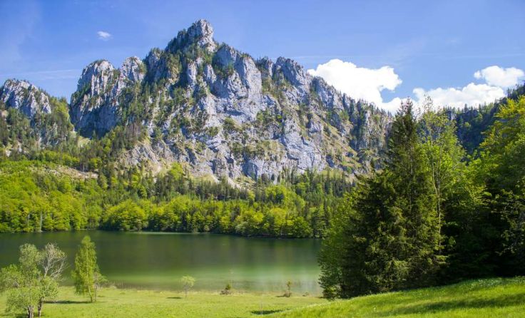 Laudachsee in Gmunden Foto: Mira Drozdowski/Shutterstock.com