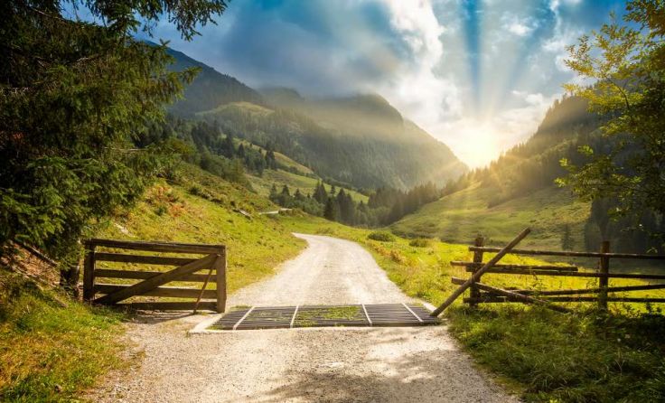 Symbolfoto für einen Weiderost (Foto: movit/shutterstock.com)