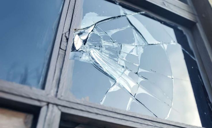 Symbolfoto: Steve Mann/shutterstock.com