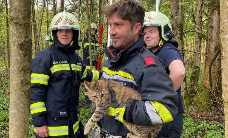 Foto: FF Laakirchen