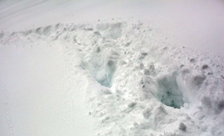 Symbolfoto: Weihbold