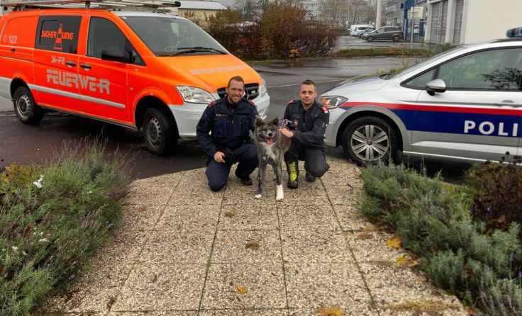 Die Einsatzkräfte mit dem Hund (Foto: LPD OÖ)