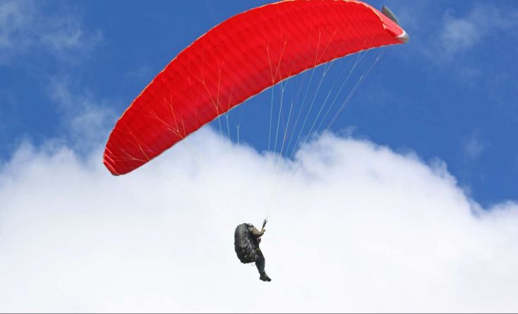 Symbolfoto: Jenny Thompson/stock.adobe.com