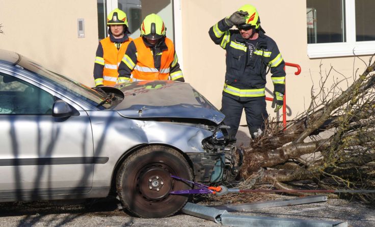 Das Auto blieb am Baumstumpf stehen. (Foto: laumat/Matthias Lauber)