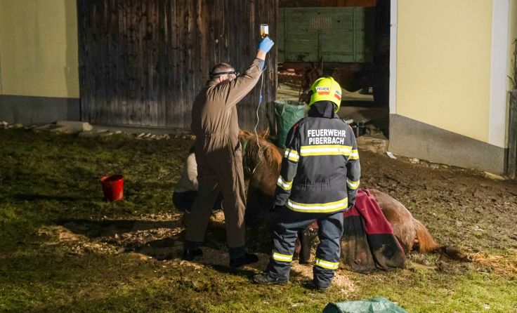 Foto: TEAM FOTOKERSCHI / DANIEL NEULINGER