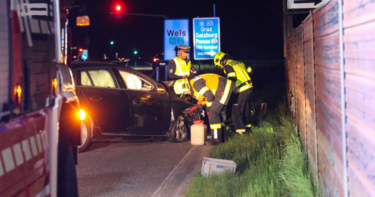 Deer caused traffic accident near Marchtrenk