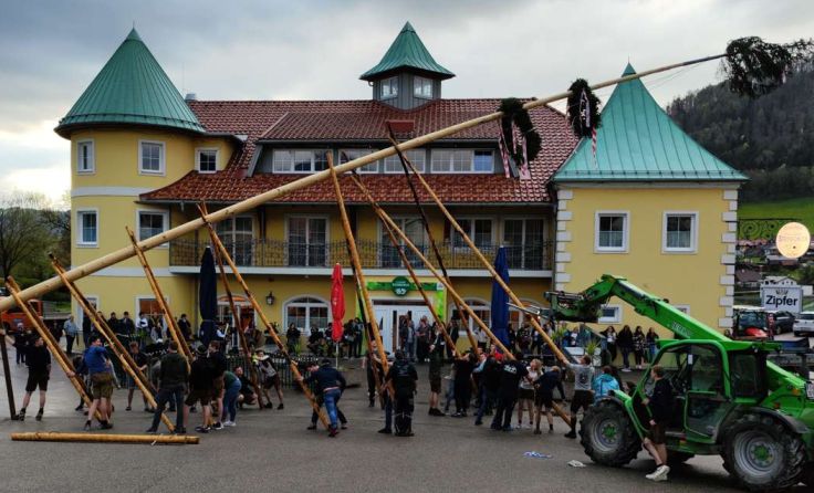 Ein Maibaum der Superlative mit einer Höhe von 29,35 Metern 
