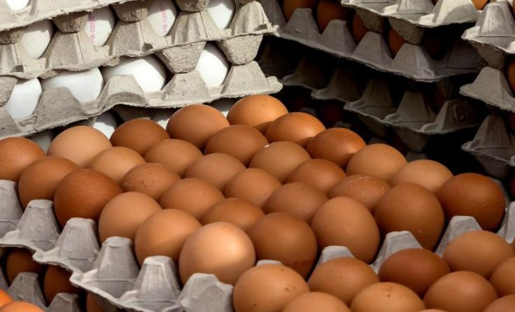 Eier. Symbolfoto: V. Weihbold.