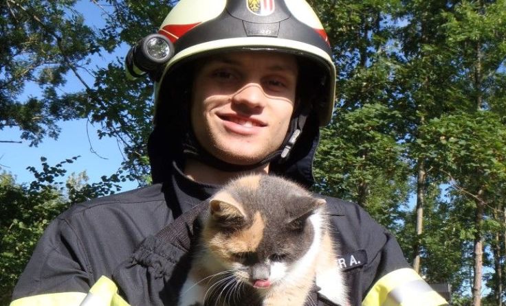 Die Katze schnurrte nach der Rettung. Foto: FF-Schlierbach