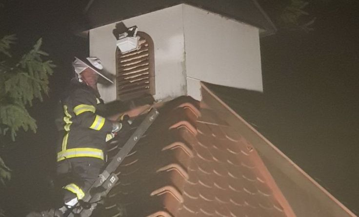 Die Feuerwehr entfernte das Hornissennest. Foto: Helmut Schreiner