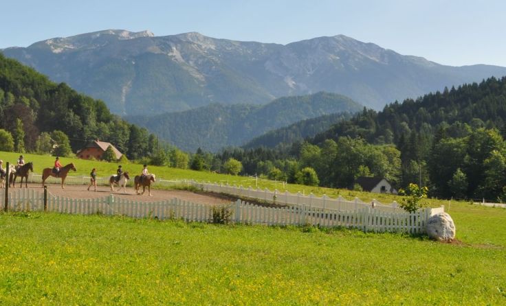 Bei herrlichem Panorama können Interessierte Reiten lernen. Foto: Gut Enhagen