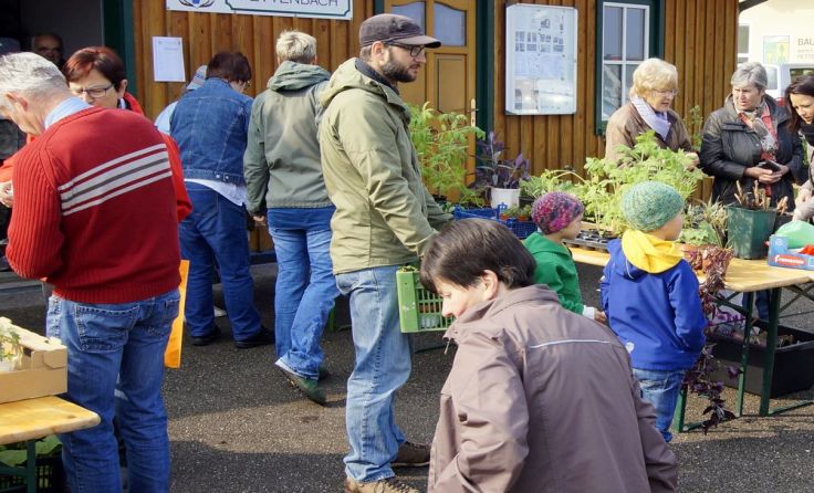 Blumen- und Gartenfreunde können beim Kirtag selbst verkaufen. Foto: G. Hinterwirth