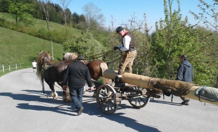 Traditionell findet anlässlich des 1. Mai das Maibaumaufstellen statt. Foto: ÖTB