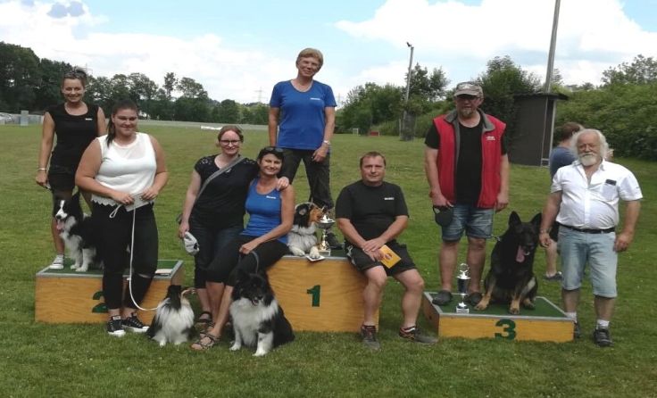 Die Mitglieder der Hundeschule nahmen an der Landesmeisterschaft teil. Foto: Hundeschule Kremstal