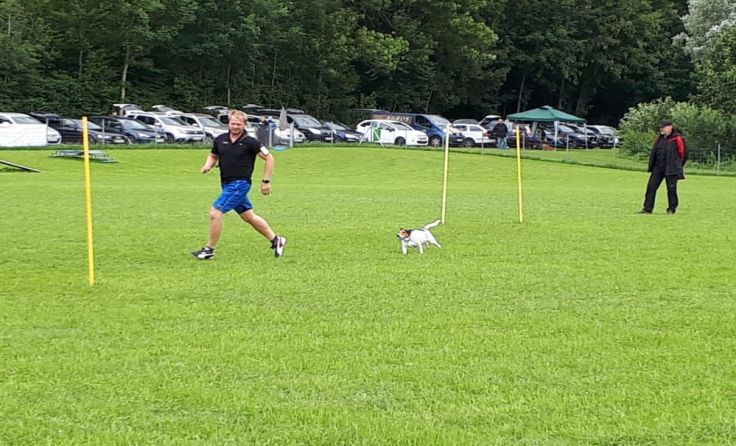 Karl Haider mit Benni. Foto: Hundeschule
