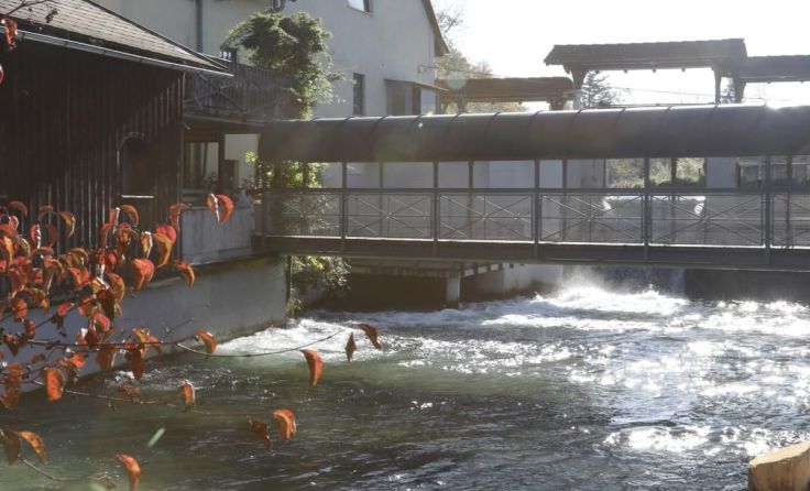 In der Schule an der Alm werden derzeit 41 Kinder unterrichtet. Foto: Schule an der Alm