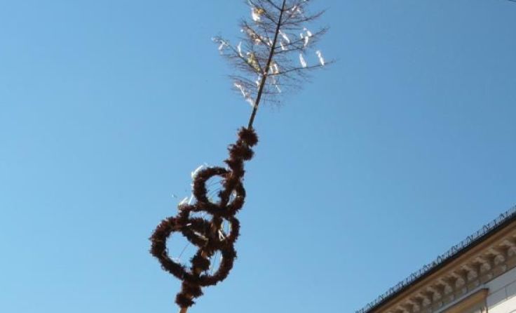 Der Maibaum wird umgeschnitten. Foto: J. Haijes