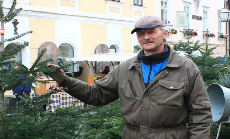 Walter Kaufmann verkauft seit fast 25 Jahren in der Melker Altstadt Christbäume.