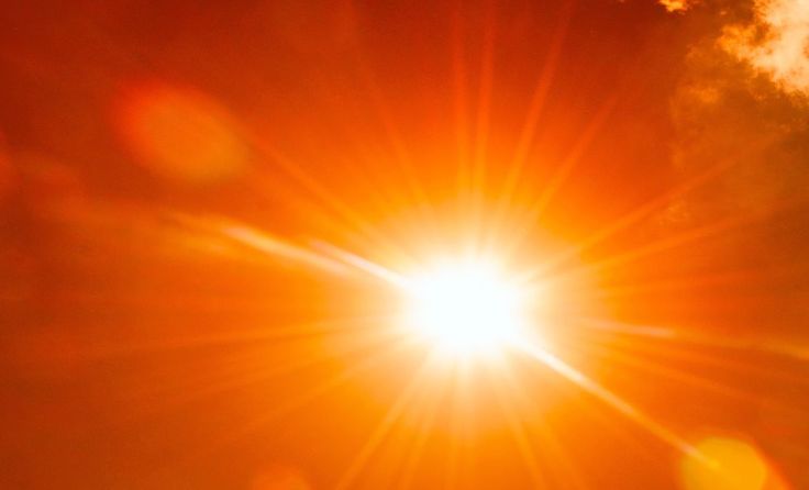 Foto: VladisChern/Shutterstock.com