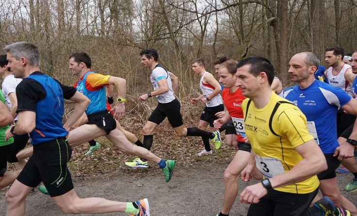 Foto: 4-Städte Cross-Cup