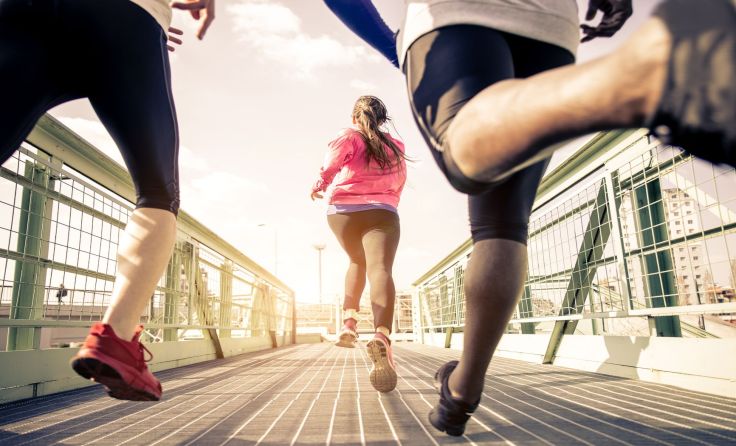Foto: oneinchpunch/Shutterstock.com
