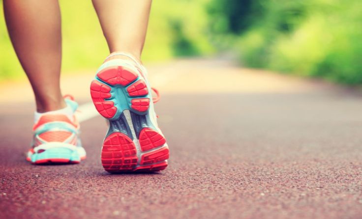 Foto: lzf/Shutterstock.com