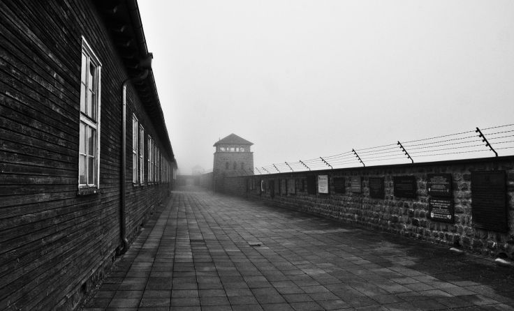 Foto: jorangetree/shutterstock.com