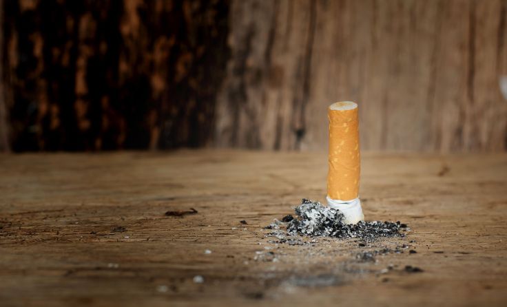 Foto: pimpisan02/Shutterstock.com