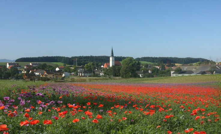 Foto: Gemeinde