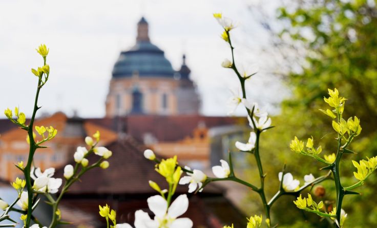 Foto: Stift Melk / B. Kobler-Pimiskern