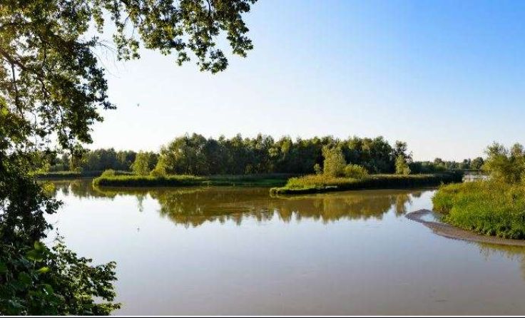 Foto: Wirestock Creators/Shutterstock.com