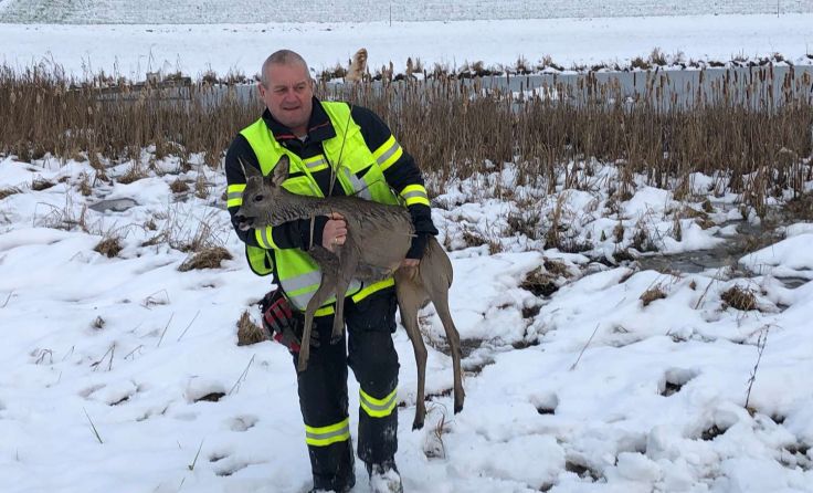 Foto: FF Tarsdorf