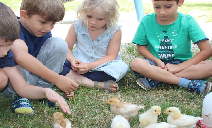 Die Kinder kümmerten sich um die Wuserl. Foto: Kindergarten Kinderwelt Langholzfeld