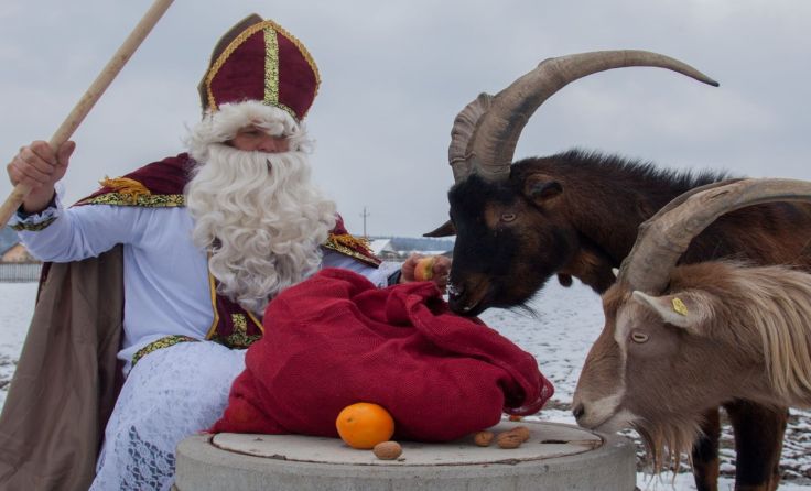 Der Nikolaus hat auch die Tiere der Pfotenhilfe Lochen beschenkt. Foto: Pfotenhilfe/Sonja Müller