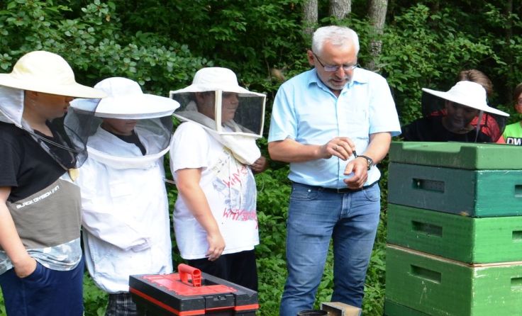 Zusammen mit Imker Johann Puttinger entdeckten die Schüler die Welt der Bienen.