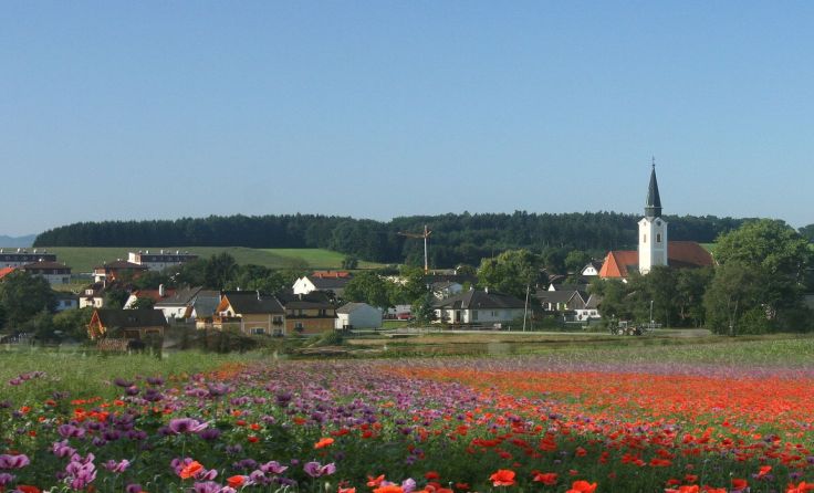 In Hürm erblüht nicht nur der Frühling. Foto: Gemeinde Hürm