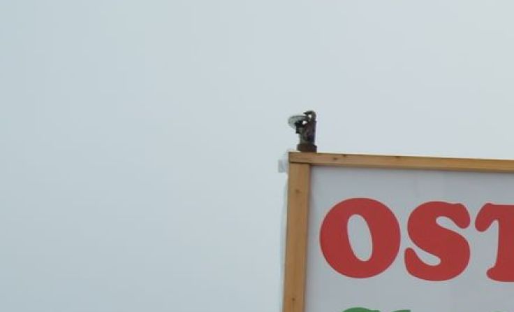 Adventeinstimmung im Ostronger Tannenhof